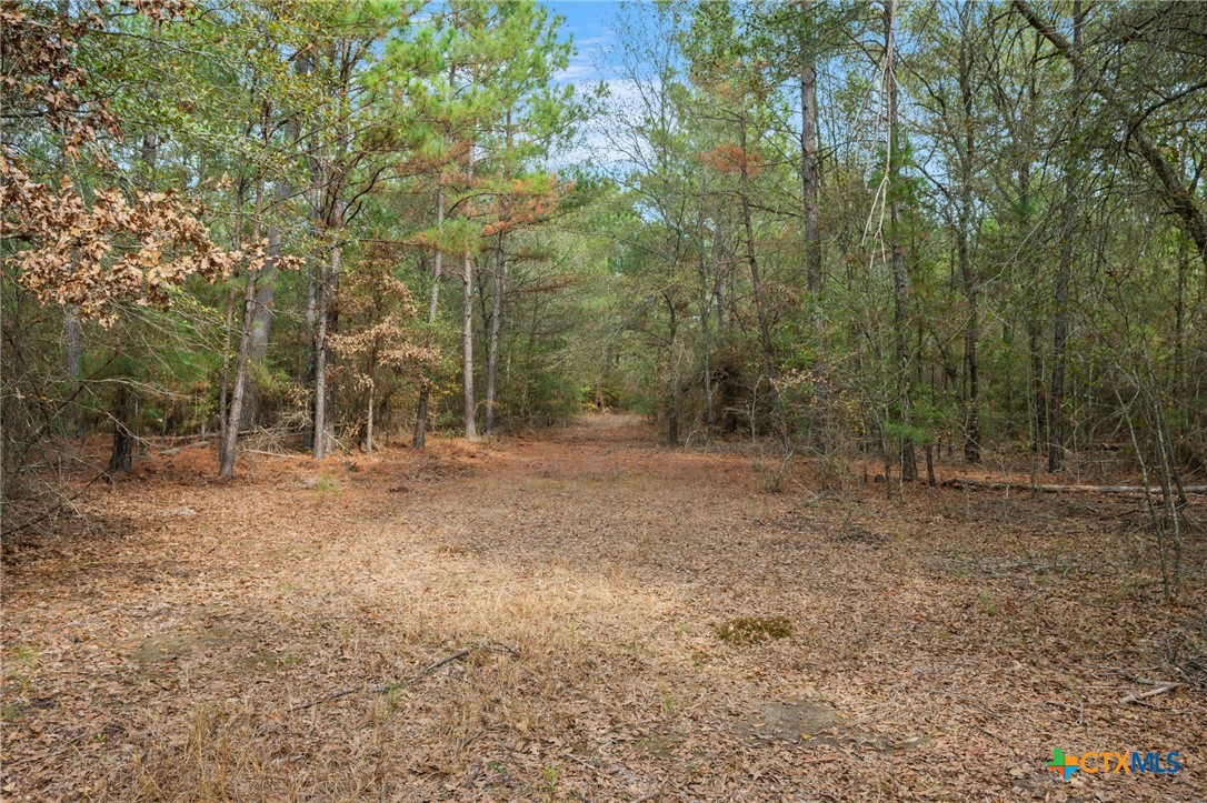 000 Dickey Loop Property Photo 31