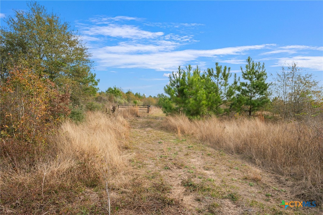 000 Dickey Loop Property Photo 32