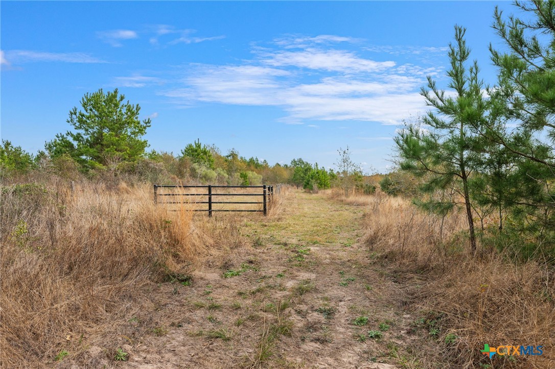 000 Dickey Loop Property Photo 33