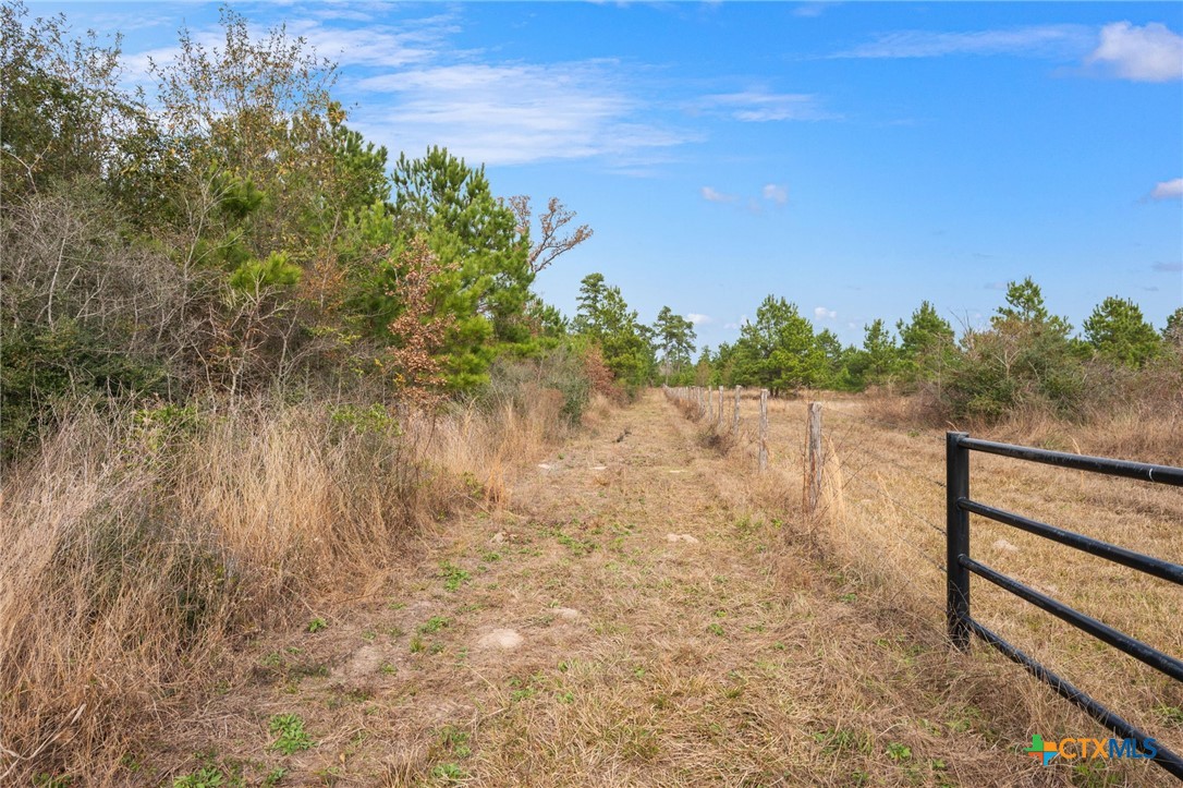 000 Dickey Loop Property Photo 34