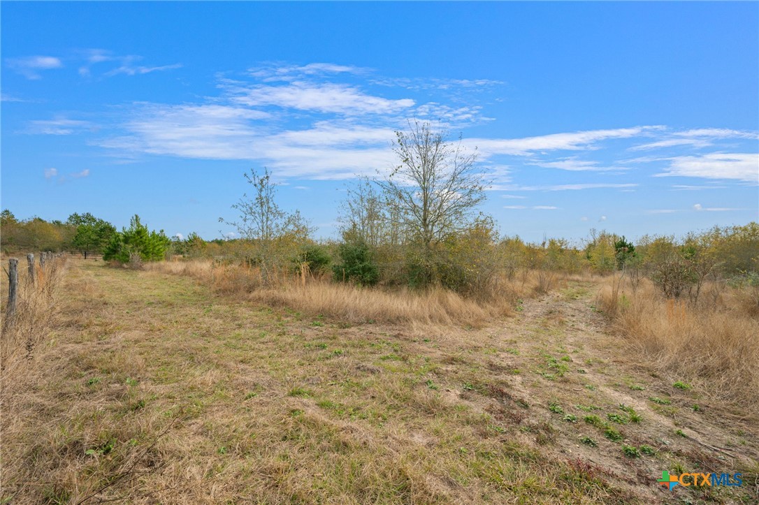 000 Dickey Loop Property Photo 35