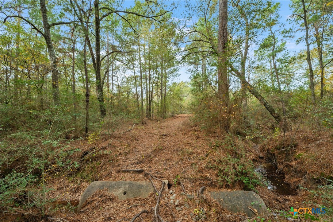 000 Dickey Loop Property Photo 36