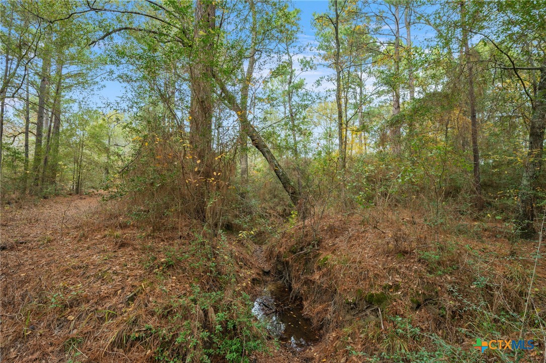 000 Dickey Loop Property Photo 37