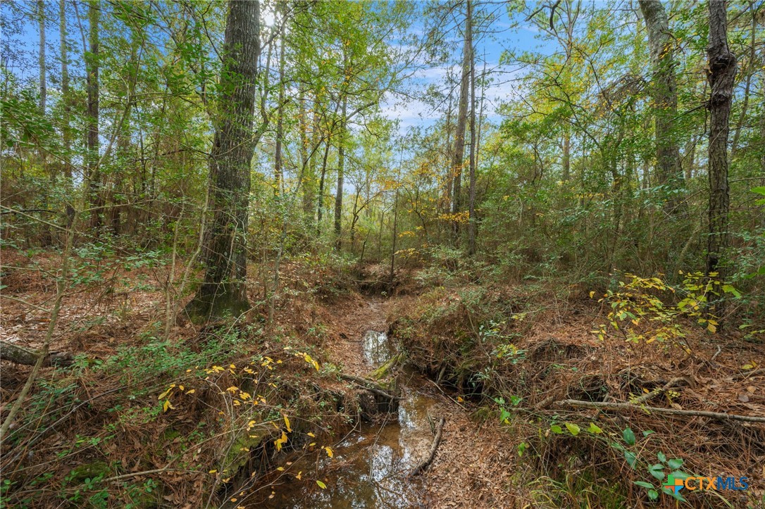 000 Dickey Loop Property Photo 38