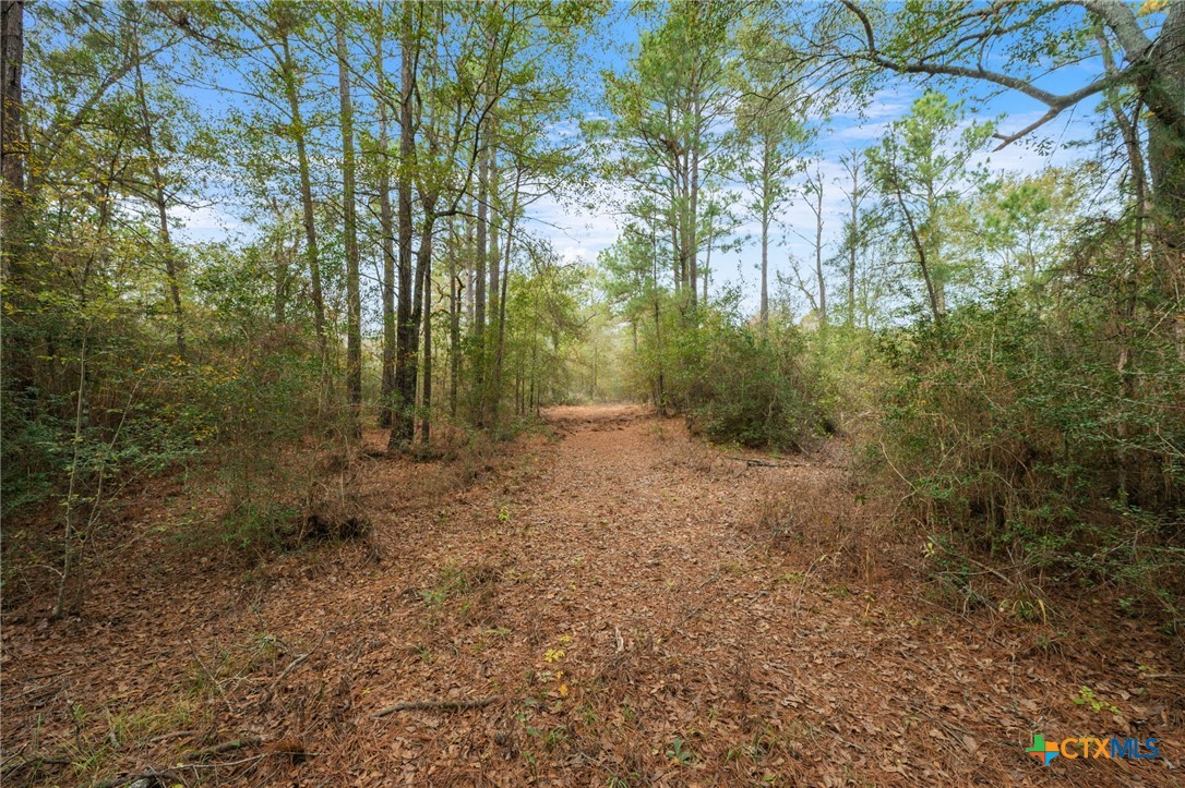 000 Dickey Loop Property Photo 39