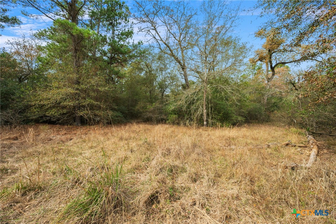 000 Dickey Loop Property Photo 40