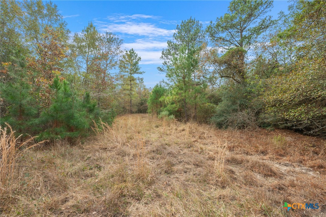 000 Dickey Loop Property Photo 41
