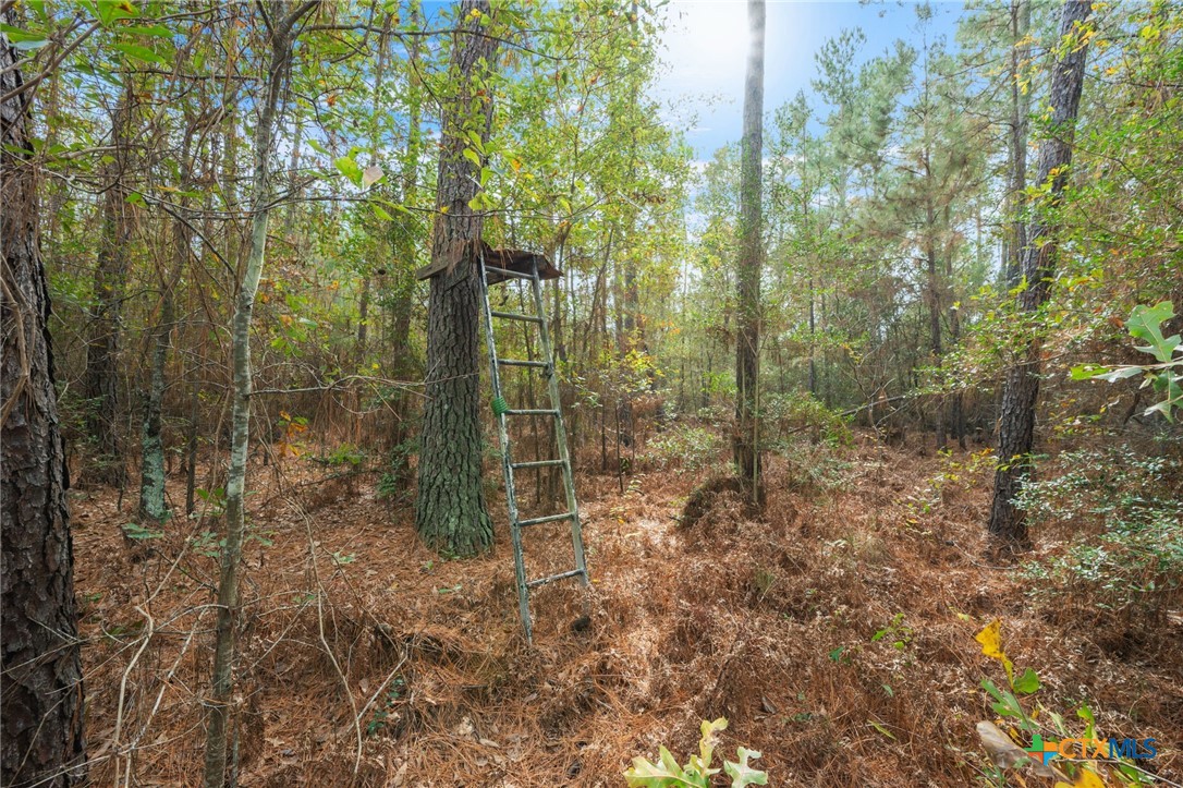 000 Dickey Loop Property Photo 42