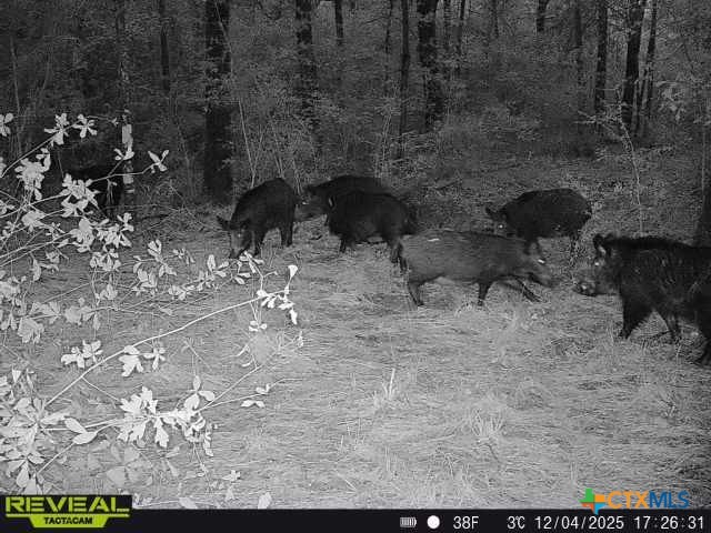 000 Dickey Loop Property Photo 45