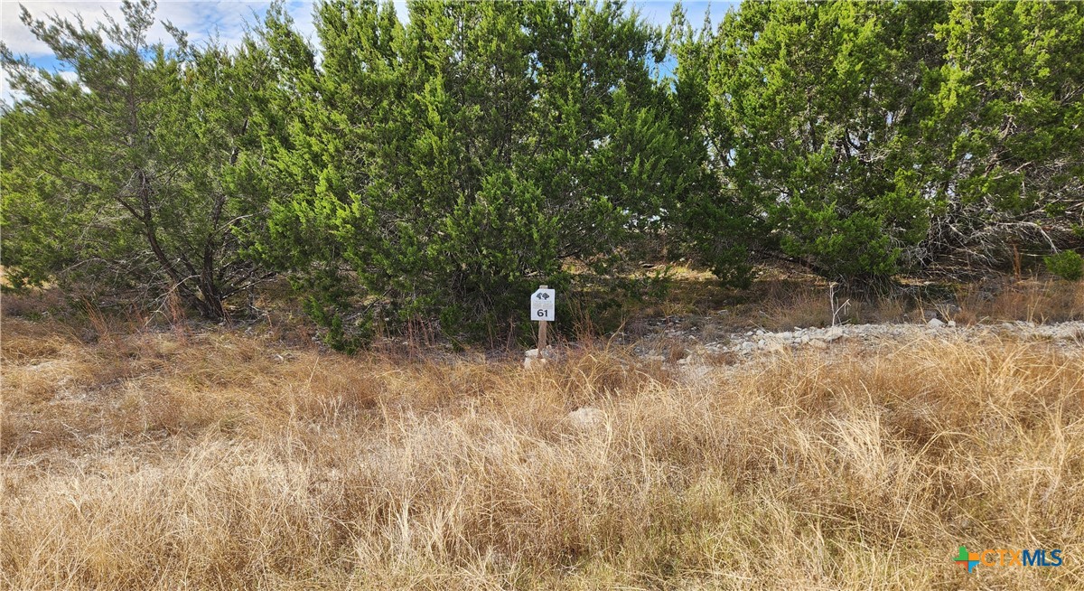 Tbd Shin Oak Drive Property Photo 3