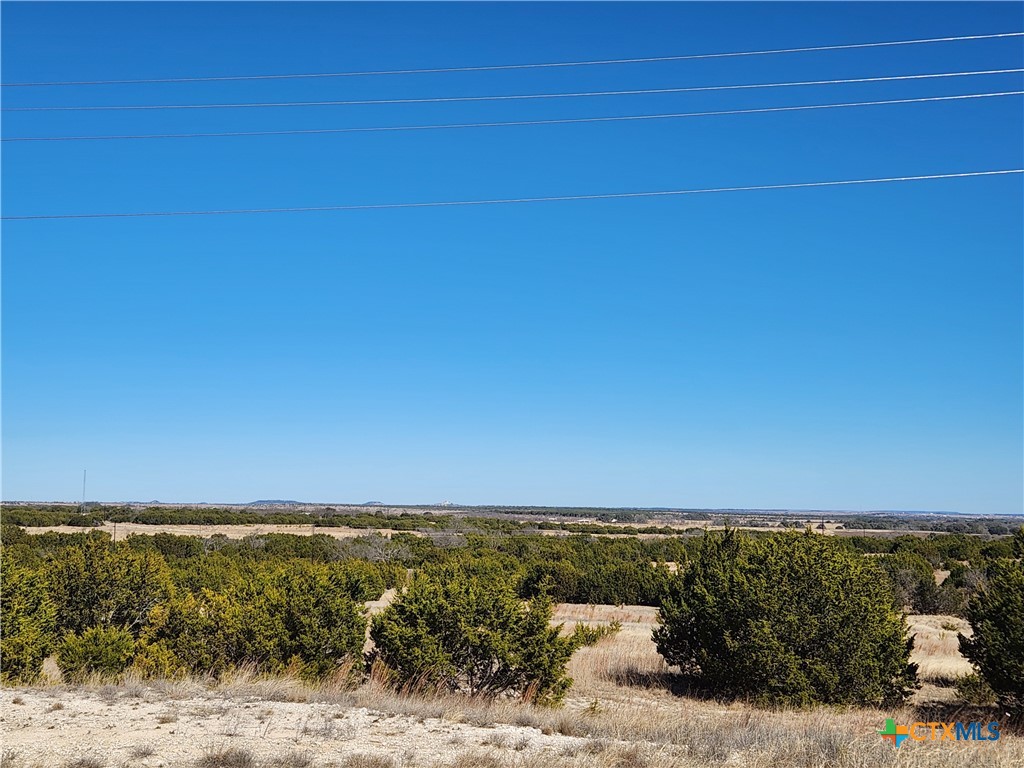 Tbd Shin Oak Drive Property Photo 5