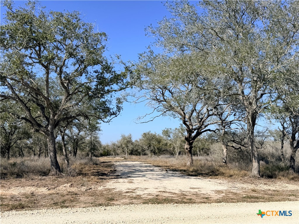 1776 Fm 1351 Property Photo 1