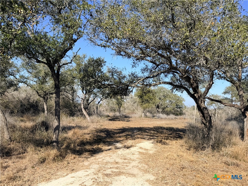 1776 Fm 1351 Property Photo 3