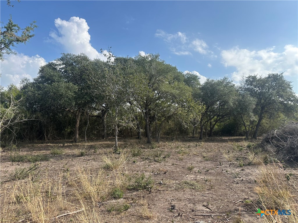 1776 Fm 1351 Property Photo 4