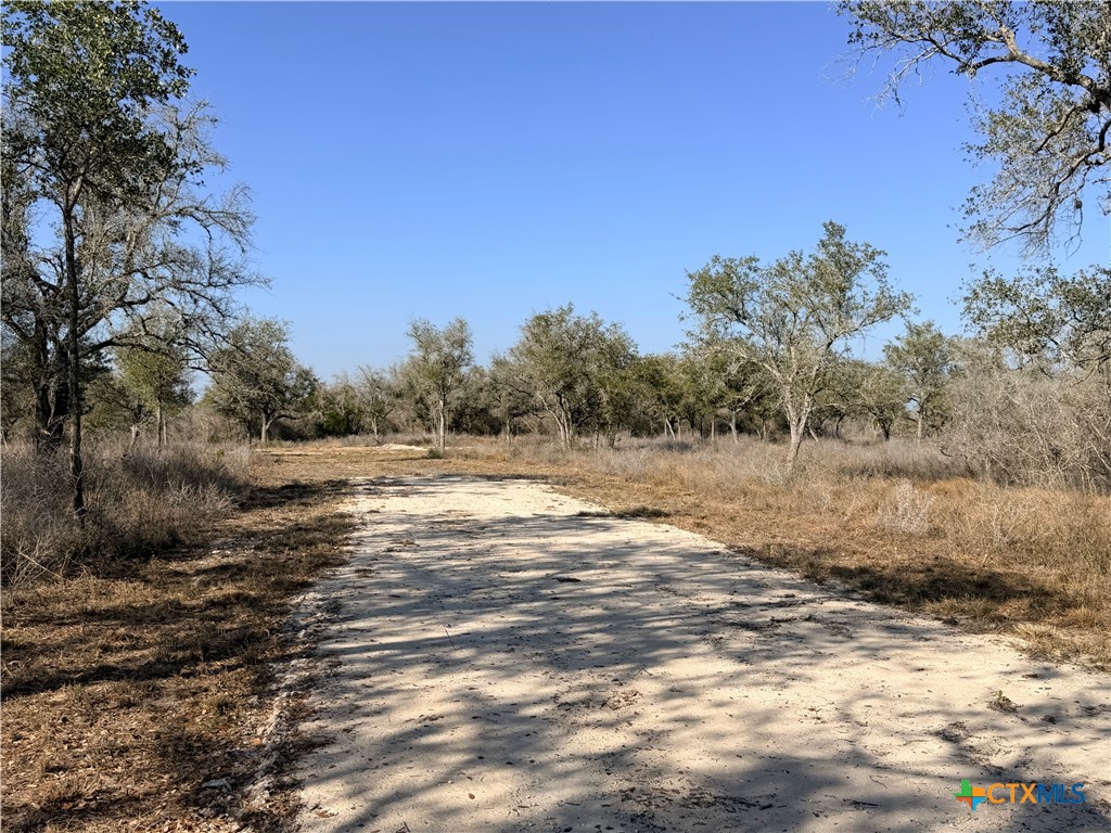 1776 Fm 1351 Property Photo 5