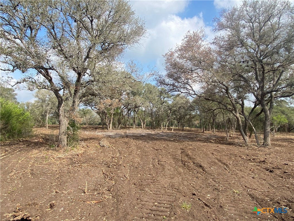 1776 Fm 1351 Property Photo 6