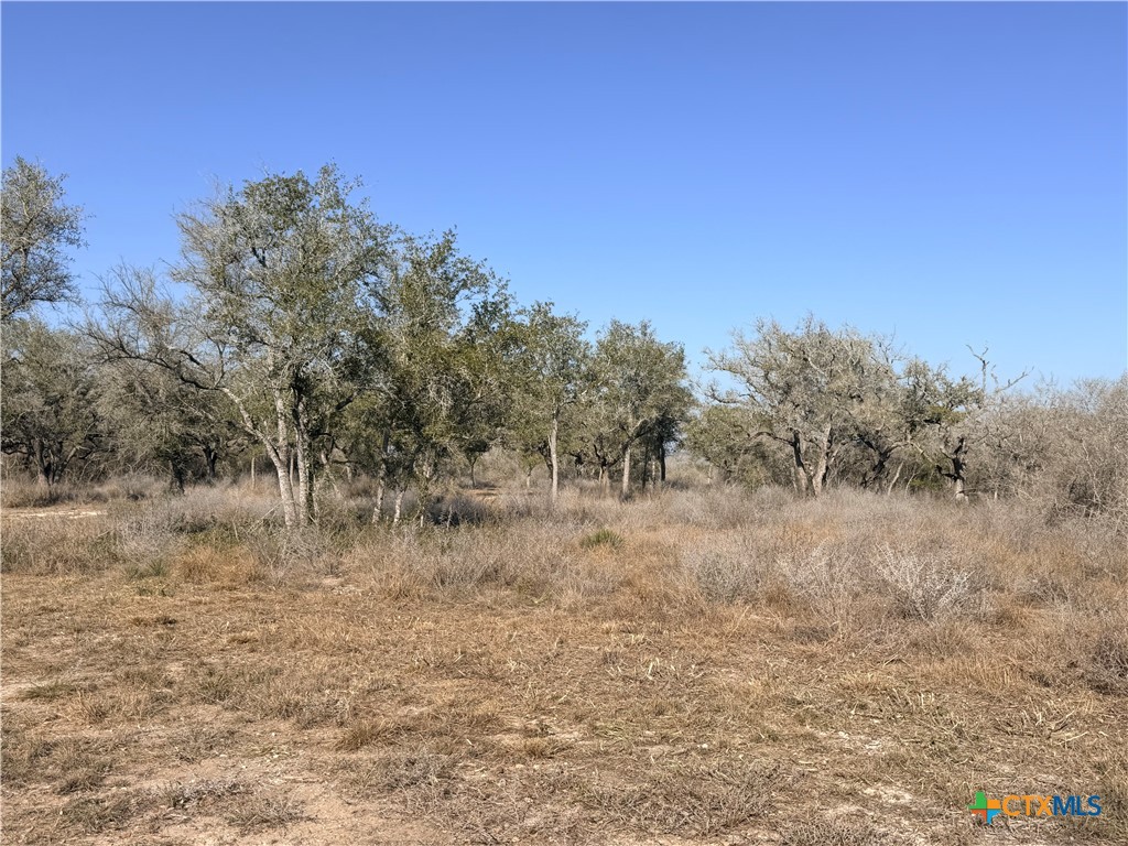 1776 Fm 1351 Property Photo 7