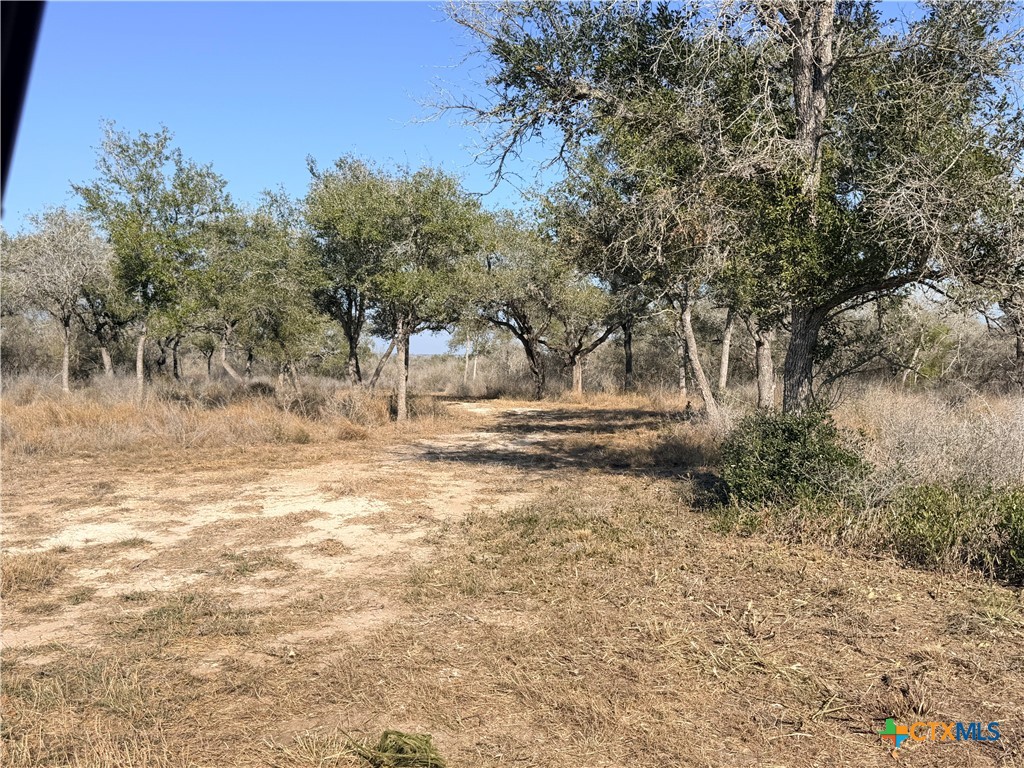 1776 Fm 1351 Property Photo 8