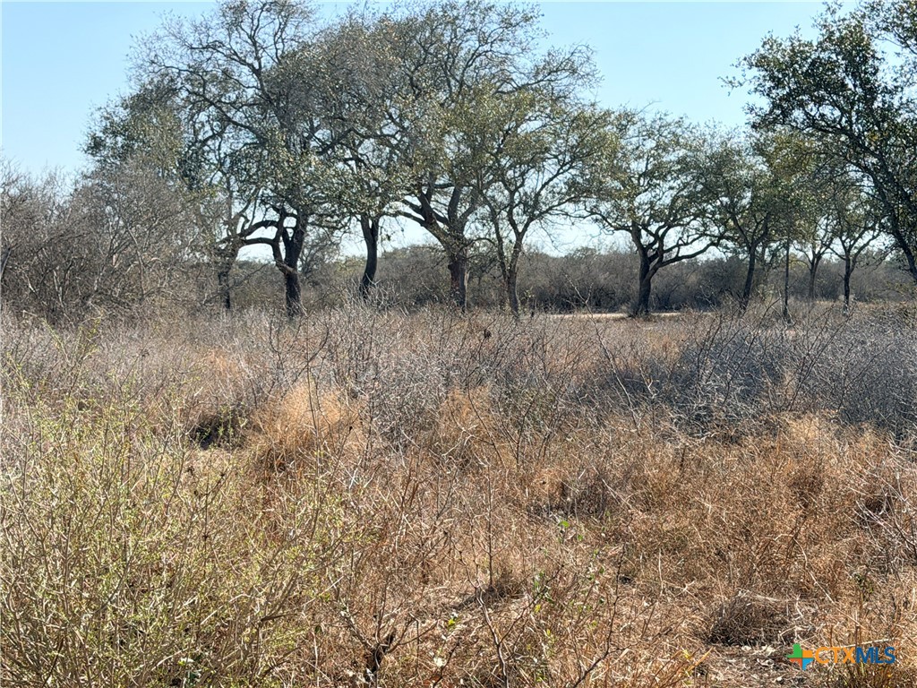 1776 Fm 1351 Property Photo 9