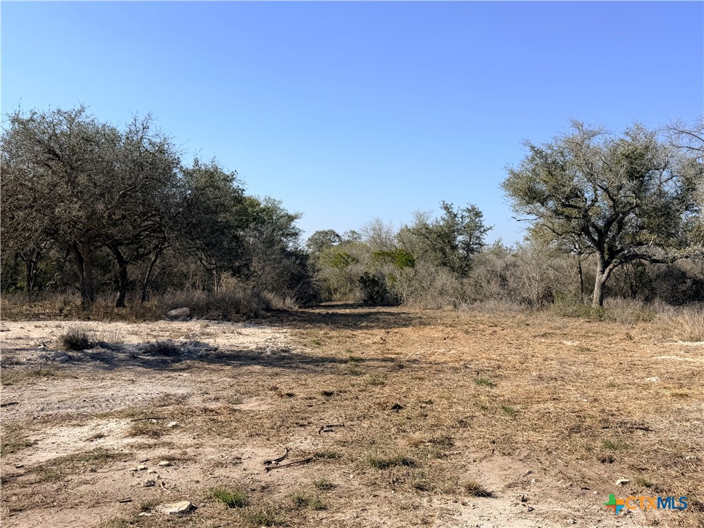 1776 Fm 1351 Property Photo 10