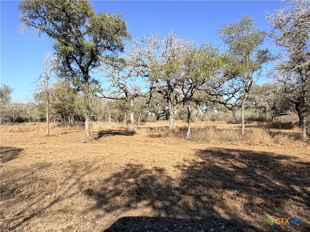 1776 Fm 1351 Property Photo 11