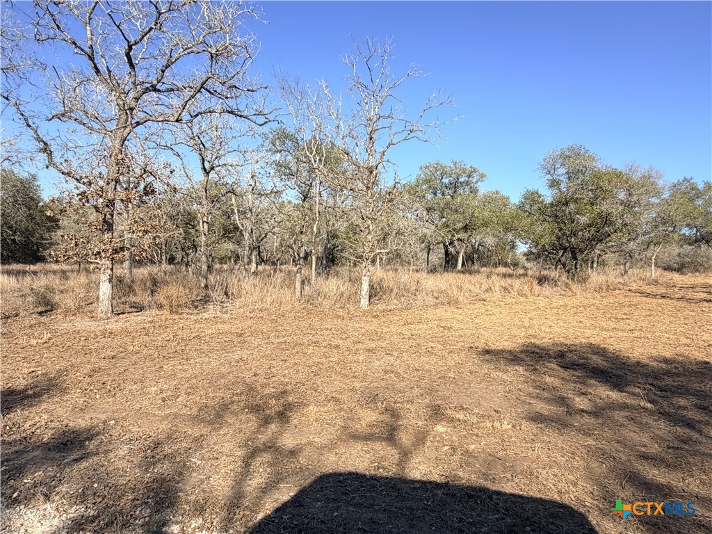 1776 Fm 1351 Property Photo 12