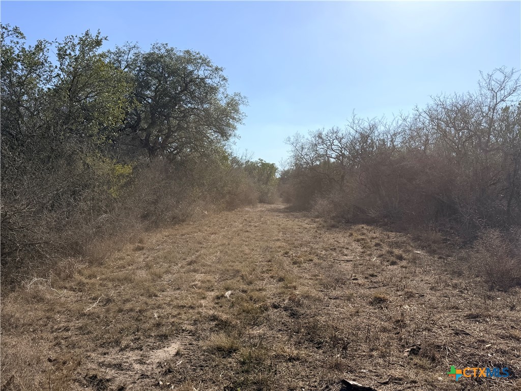 1776 Fm 1351 Property Photo 13