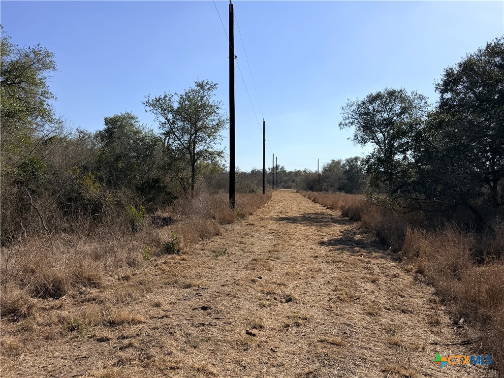 1776 Fm 1351 Property Photo 14
