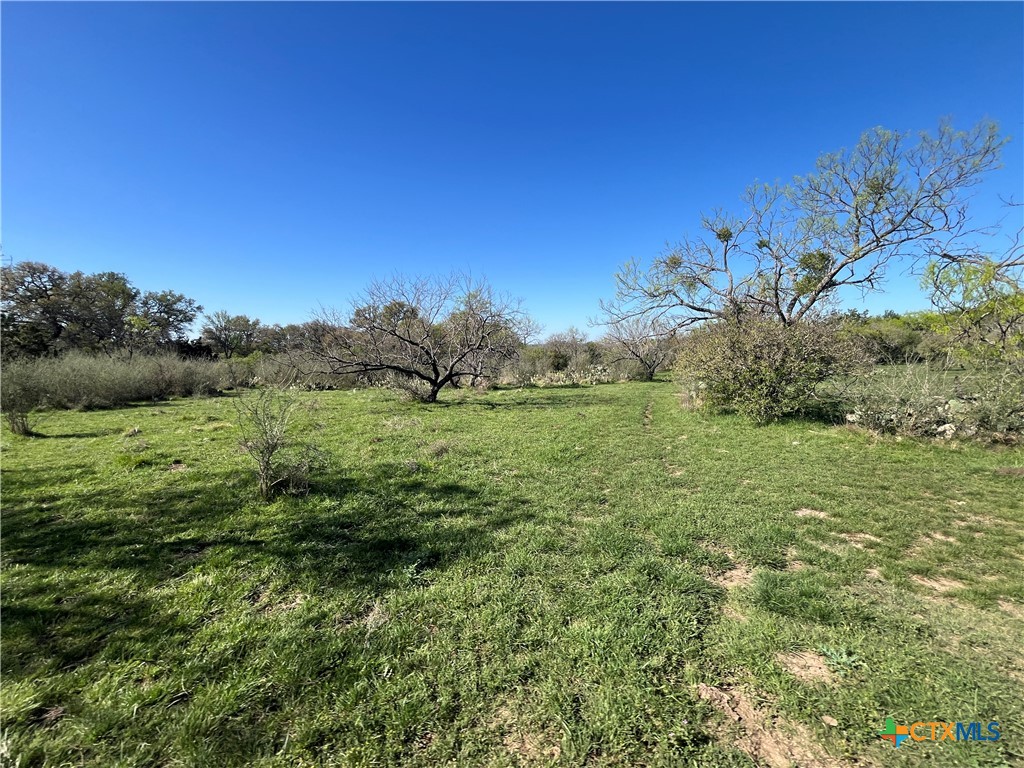1218 Private Road 1377 Property Photo 33