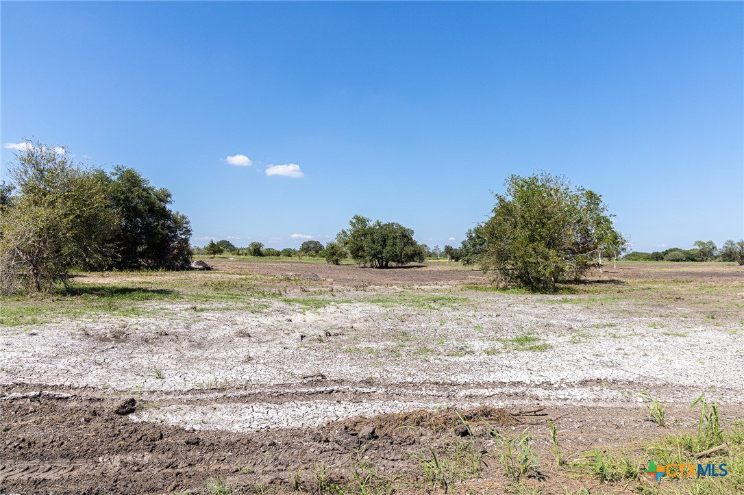 234 Cr 430 Tract 6 Property Photo 3