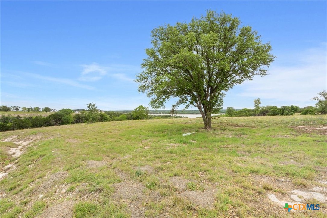 10135 Sweet Lilly Trail Property Photo 7