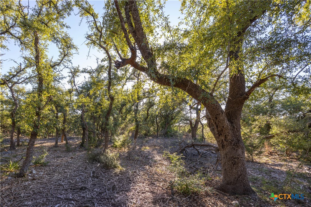 130 Panorama Drive Property Photo 1