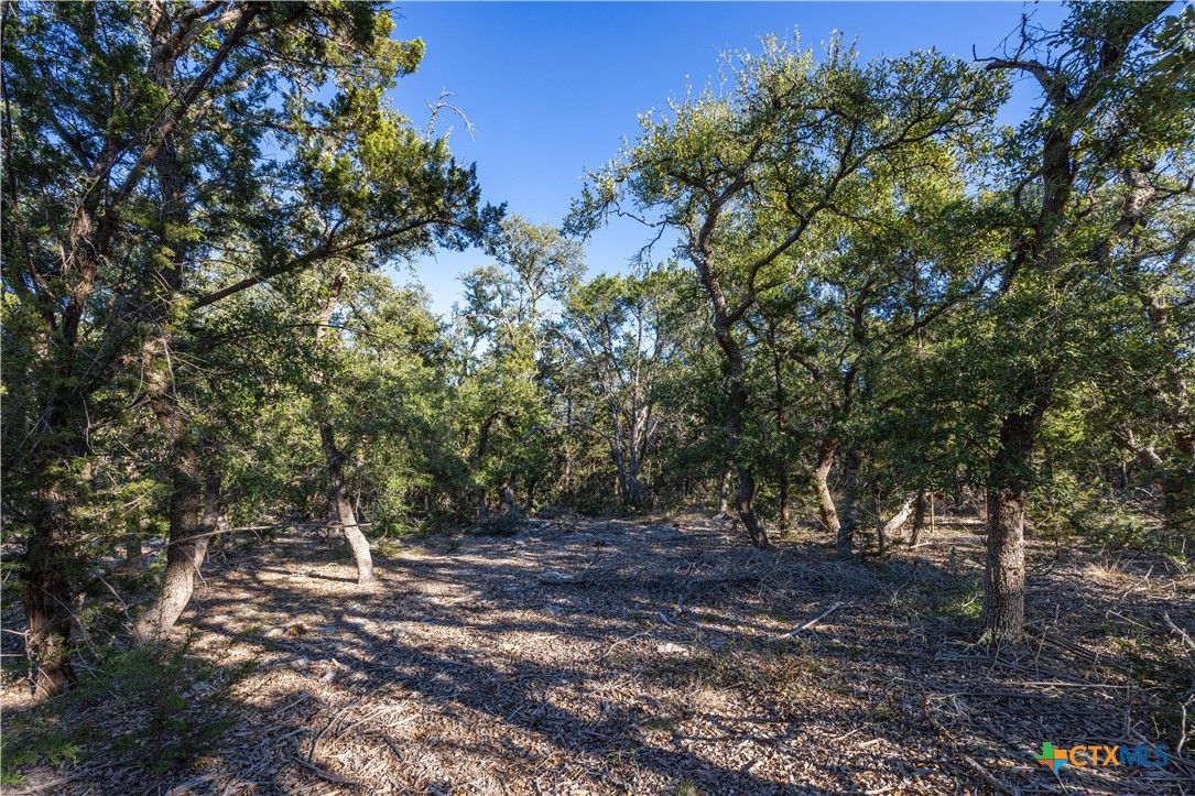 130 Panorama Drive Property Photo 2