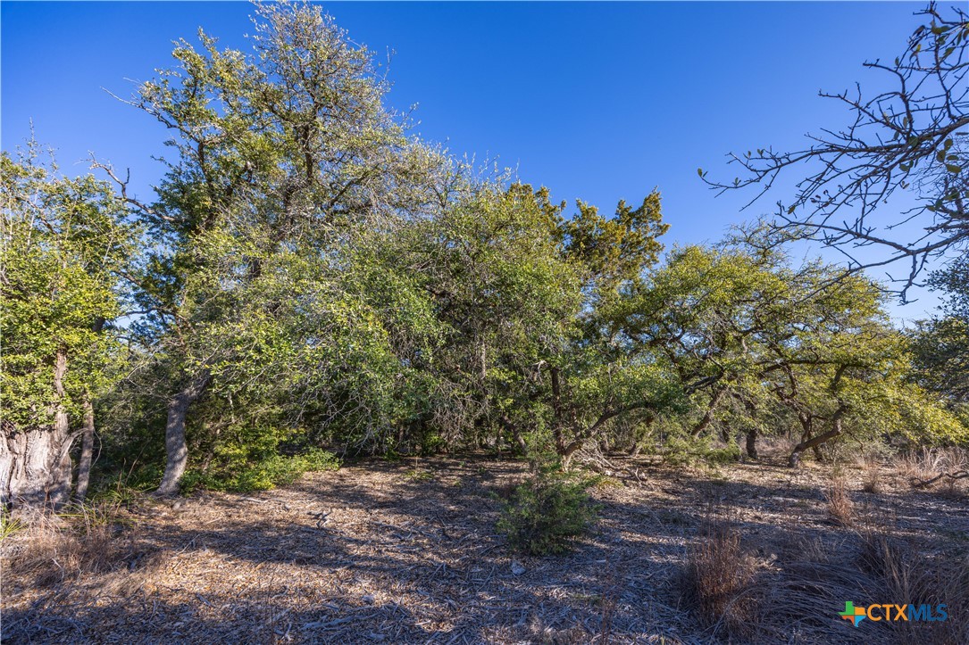 130 Panorama Drive Property Photo 3