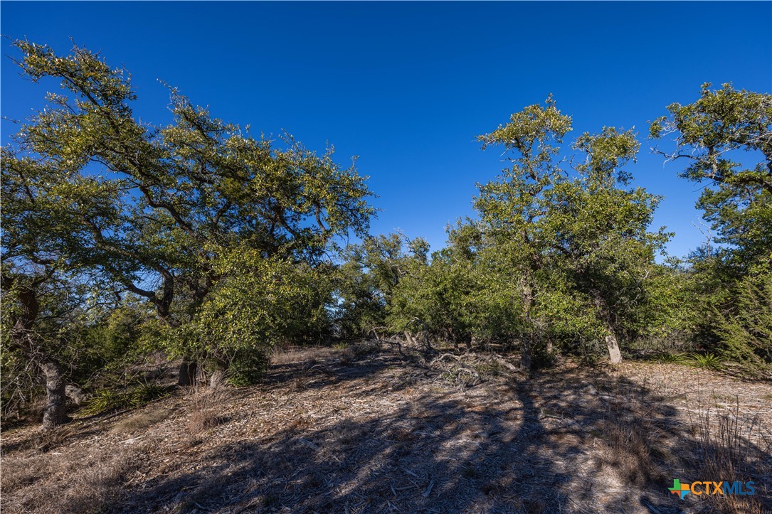 130 Panorama Drive Property Photo 4