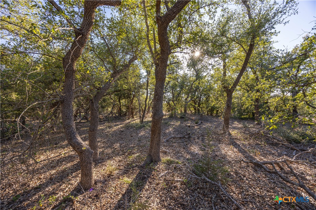 130 Panorama Drive Property Photo 7