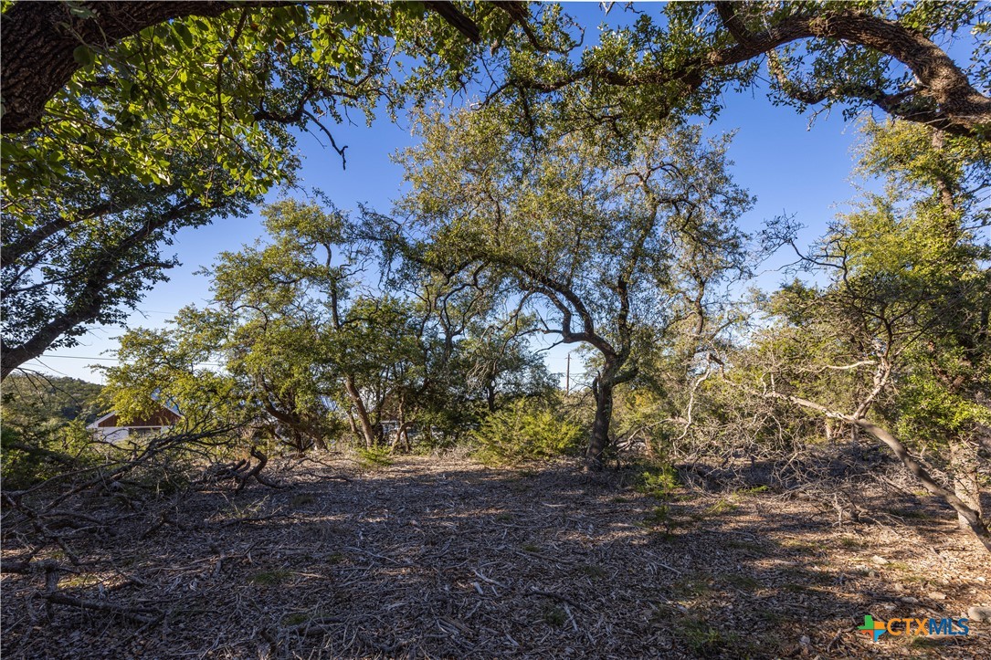130 Panorama Drive Property Photo 8