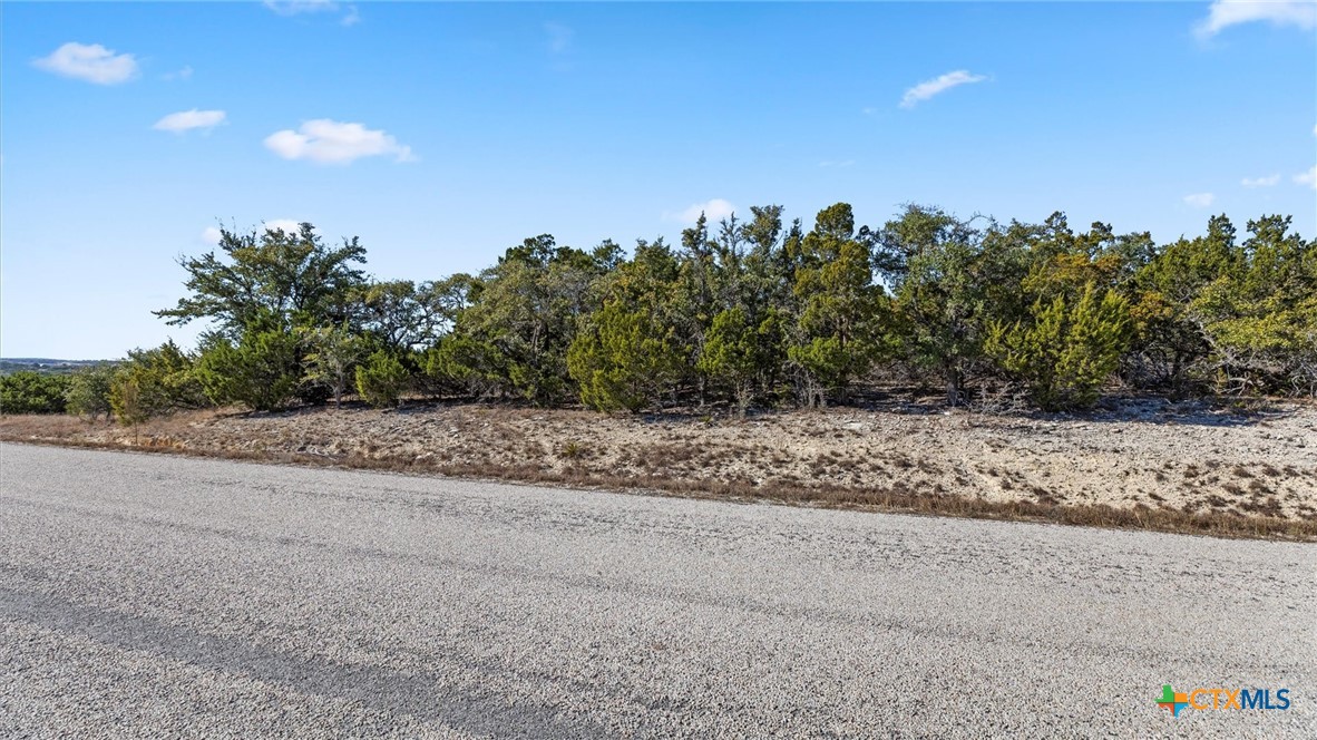 331 Ridge Point Property Photo 3