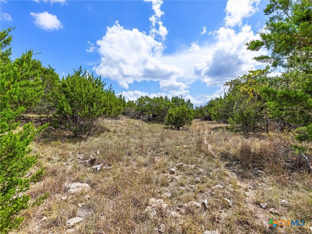 331 Ridge Point Property Photo 10