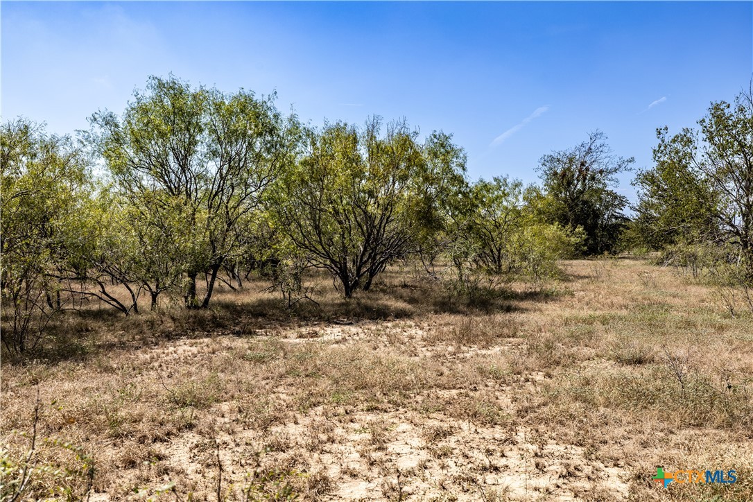 Tbd Lot 2 Track Road Property Photo 11