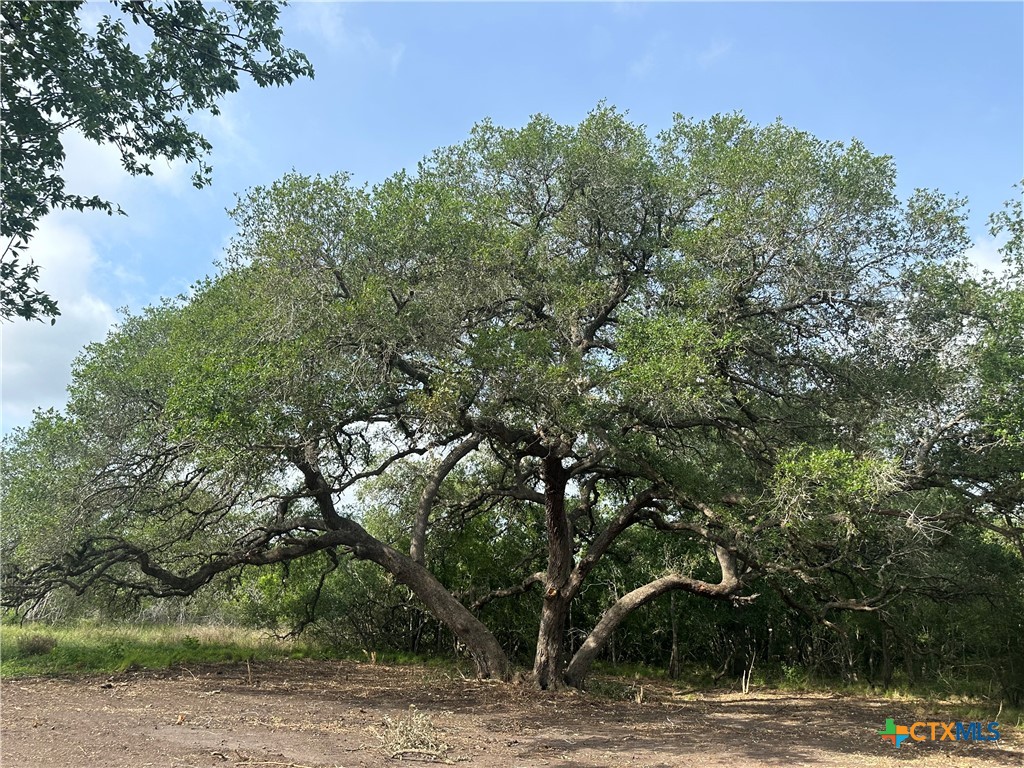 1776 Fm 1351 Property Photo 2