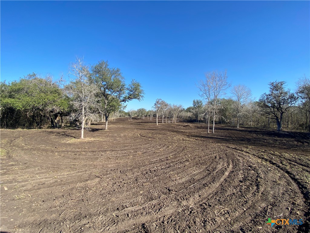 1776 Fm 1351 Property Photo 3