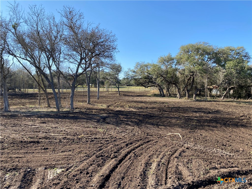 1776 Fm 1351 Property Photo 4