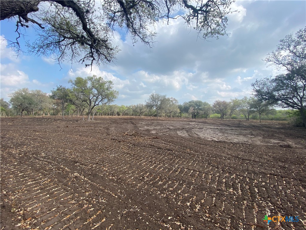 1776 Fm 1351 Property Photo 5