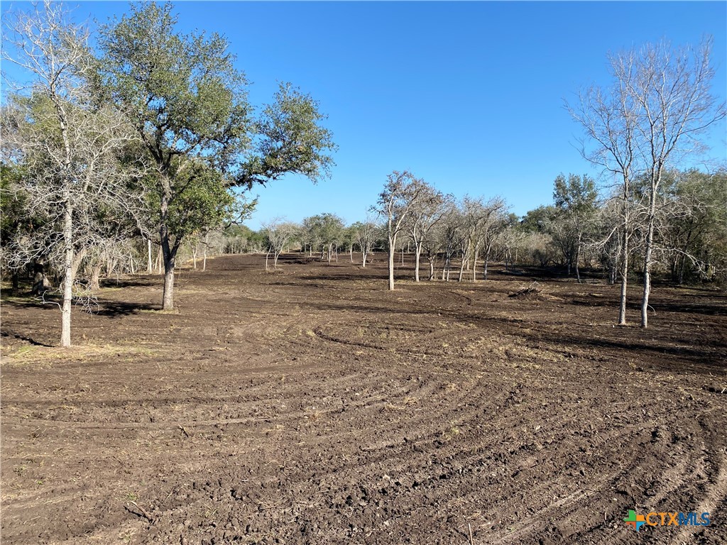 1776 Fm 1351 Property Photo 6