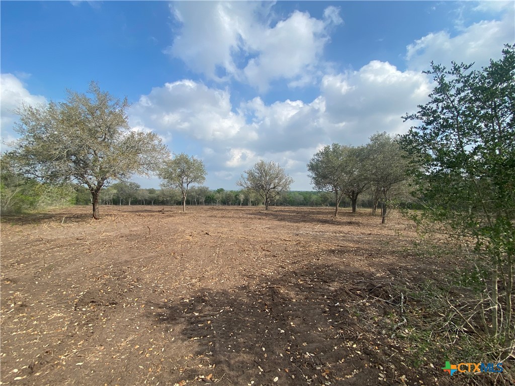 1776 Fm 1351 Property Photo 7
