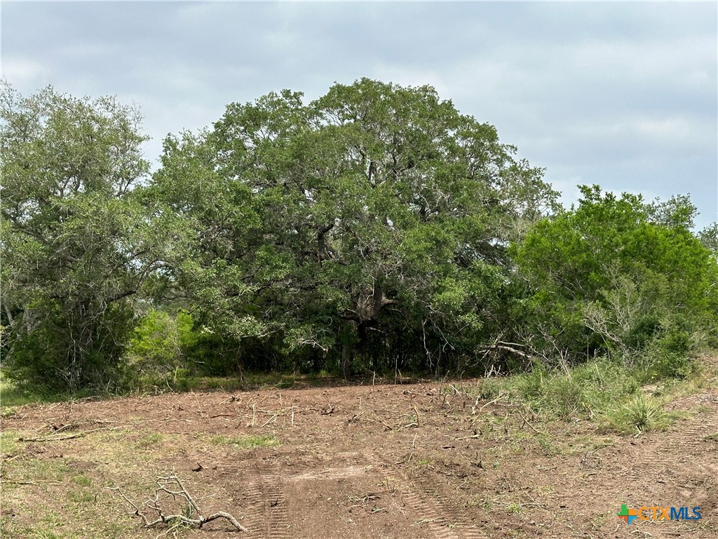 1776 Fm 1351 Property Photo 9