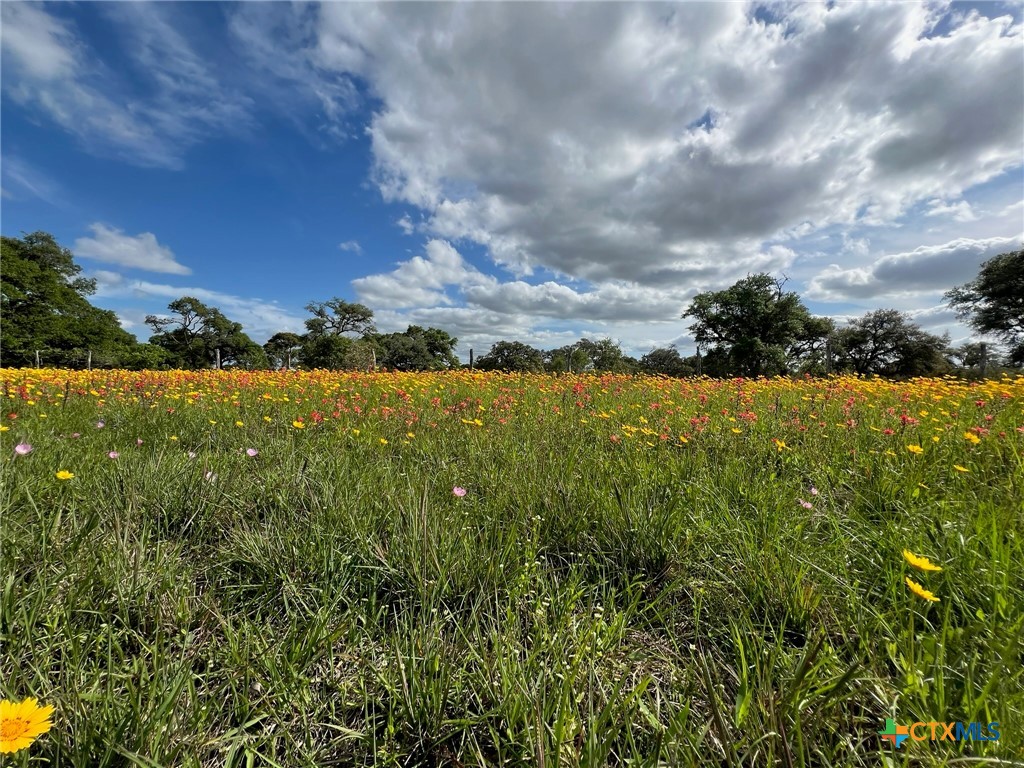 15395 E State Hwy 111 Property Photo 6