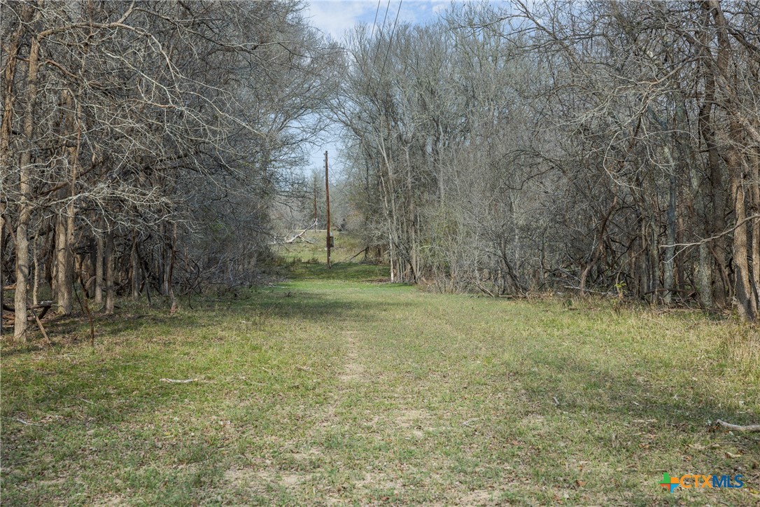 1144 Treetop Lane Property Photo 14