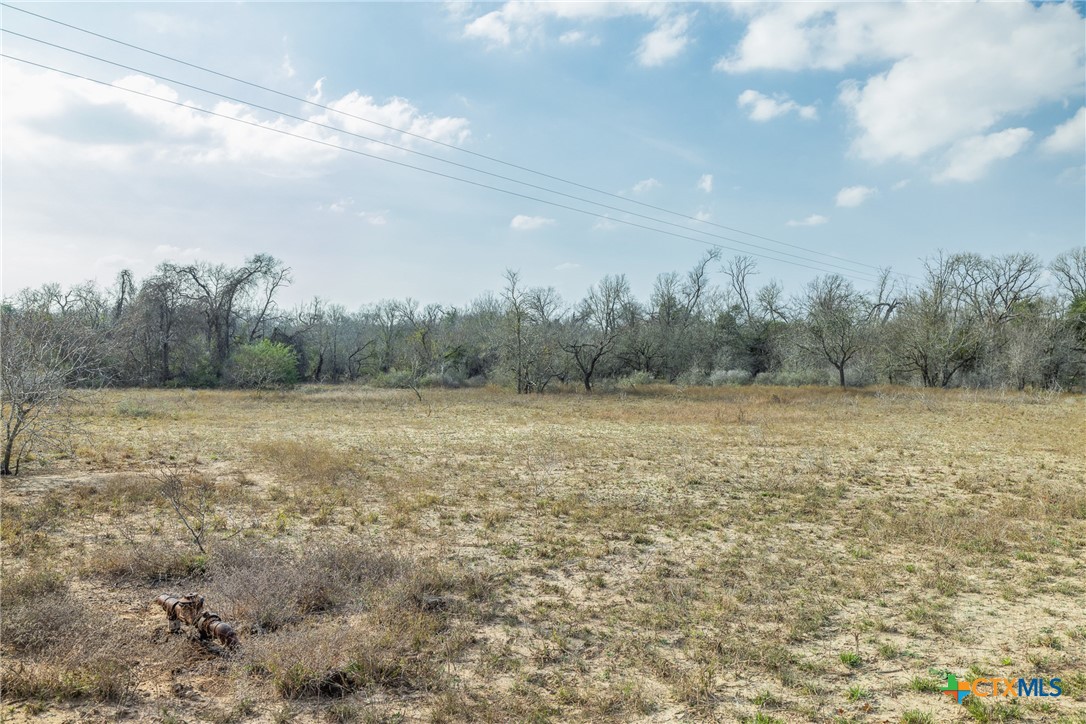 1144 Treetop Lane Property Photo 31